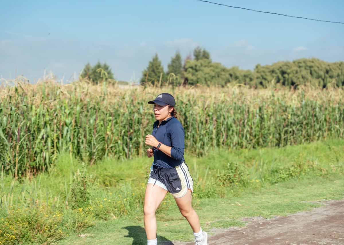 Exercise and Neuroplasticity
